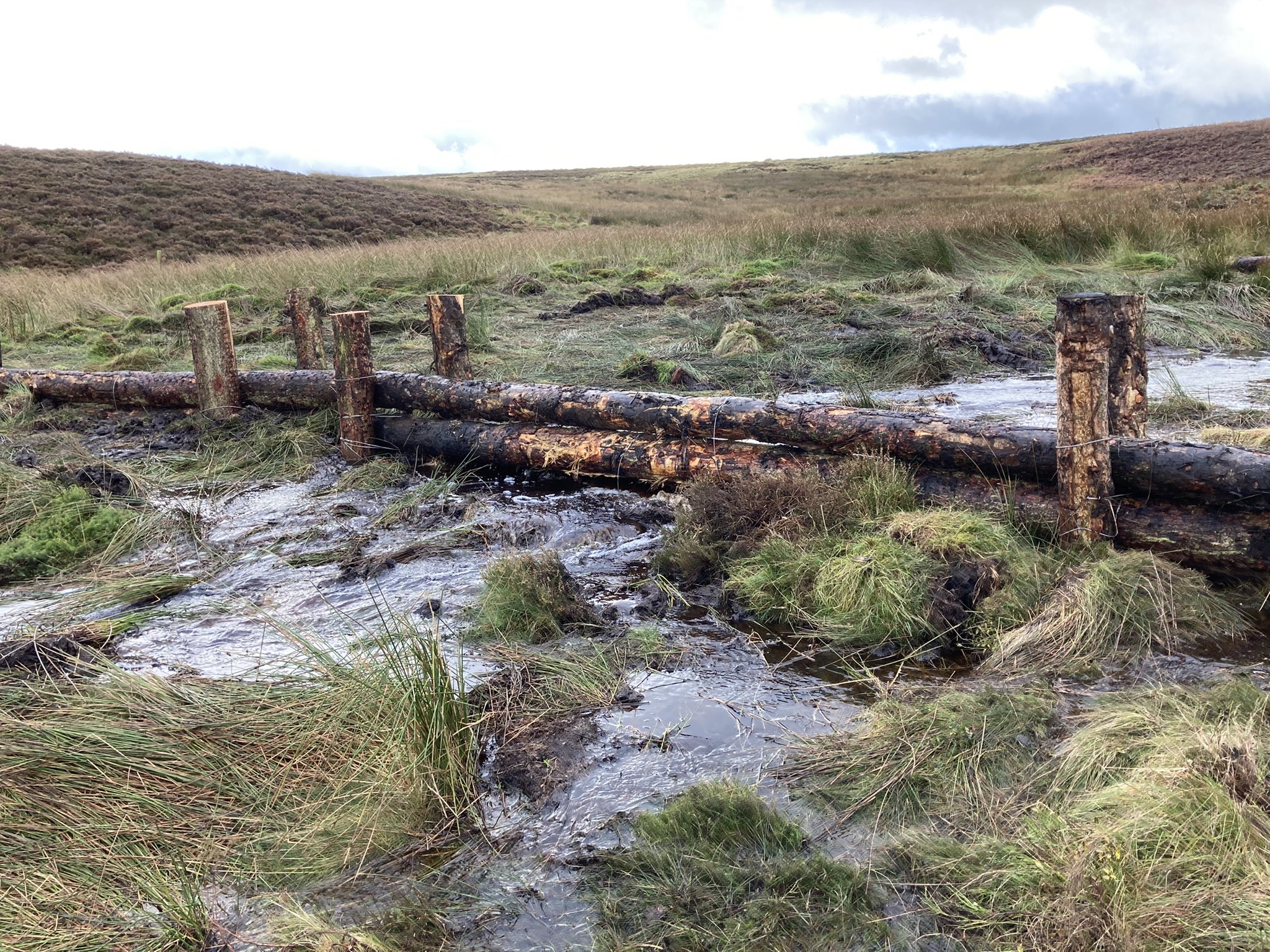 Moor Example Restoring wild moors to provide natural flood management – Wild Moors
